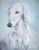 saluki-white-beauty-l-a-shepard.jpeg