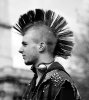 punk mohawk.jpg