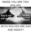 INSIDE YOU ARE TWO WOLVES.png