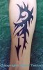 Tattoo_Tribal_Forearm.jpg