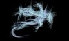 dragon_patronus_by_tribalchick101-d4bu7ow.jpg