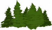 pngimg.com - forest_PNG51.png