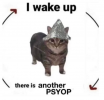 psyop.png