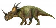 styracosaurus_albertensis_by_atrox1-d2oui5u_2c2d.jpg