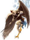 rsz_aarakocra.png