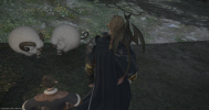 ffxiv_11172024_221137_860.png