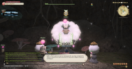 ffxiv_11202024_220641_327.png