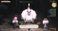 ffxiv_11302024_210206_079.png