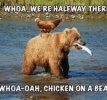 Animal Comedy - bear memes - Animal Comedy - Animal Comedy ...