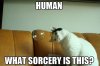 funny-human-what-sorcery-is-this-01.jpg