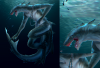 shark_dragon_by_cat_meff-d4omf44-1.png