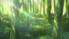 forest.png