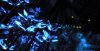 Bioluminescent forest 3.jpg