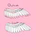 Junchi's Wings.png