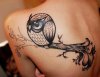 20-Cute-Owl-Tattoo-for-Back-Shoulder1.jpg