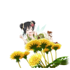 799Transparent.png