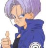 trunks1.jpg