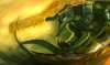 Renekton-League-of-Legends-Wallpaper-full-HD-40.jpg