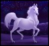 arabian_horse_by_dolphy.jpg