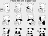 how-to-be-a-panda-240x180.jpg