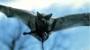 black_bat_2104x1187.jpg