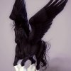 Black Pegasus Icon.jpg