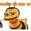 bee2.jpg