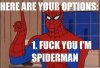 spiderman20.jpg