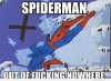 spiderman25.jpg