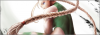 Cammy-White-Featured.png