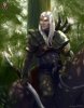 2004-dnd-archetypes-half-elf-male.jpg