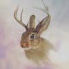 Jackalope Light.jpg