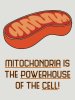 mitochondria.jpg