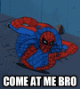 spiderballcomeatmebro.gif