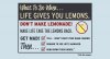 what-to-do-when-life-gives-you-lemons-dont-make-lemonade.jpg