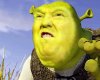 DonaldShrek.jpg