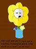 flowey in a vase.JPG