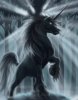 dark-unicorn.jpg