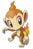 Chimchar.jpg