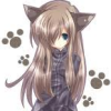 shy neko.png