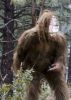 Bishop as Sasquatch.png