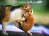 raksi lolcat.jpg