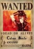 Calvin Wanted Poster.jpg