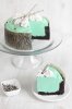 SprinkleBakes Mint Chocolate Mousse Cake.jpg