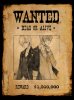 Wanted Twins.jpg