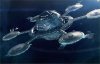 Starbase 03.jpg