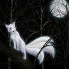 kitsune fox form.jpg
