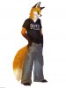 Rez_fox_by_kesame.jpg