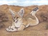 fennec_fun_by_darknatasha.jpg