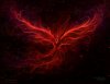 The-Phoenix-Rise-mythology-30557182-500-386.jpg